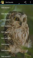 Owl Sounds الملصق