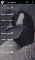 Goose Sounds Affiche