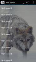 Звуки волка постер