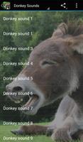 Donkey Sounds পোস্টার