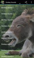Donkey Sounds plakat