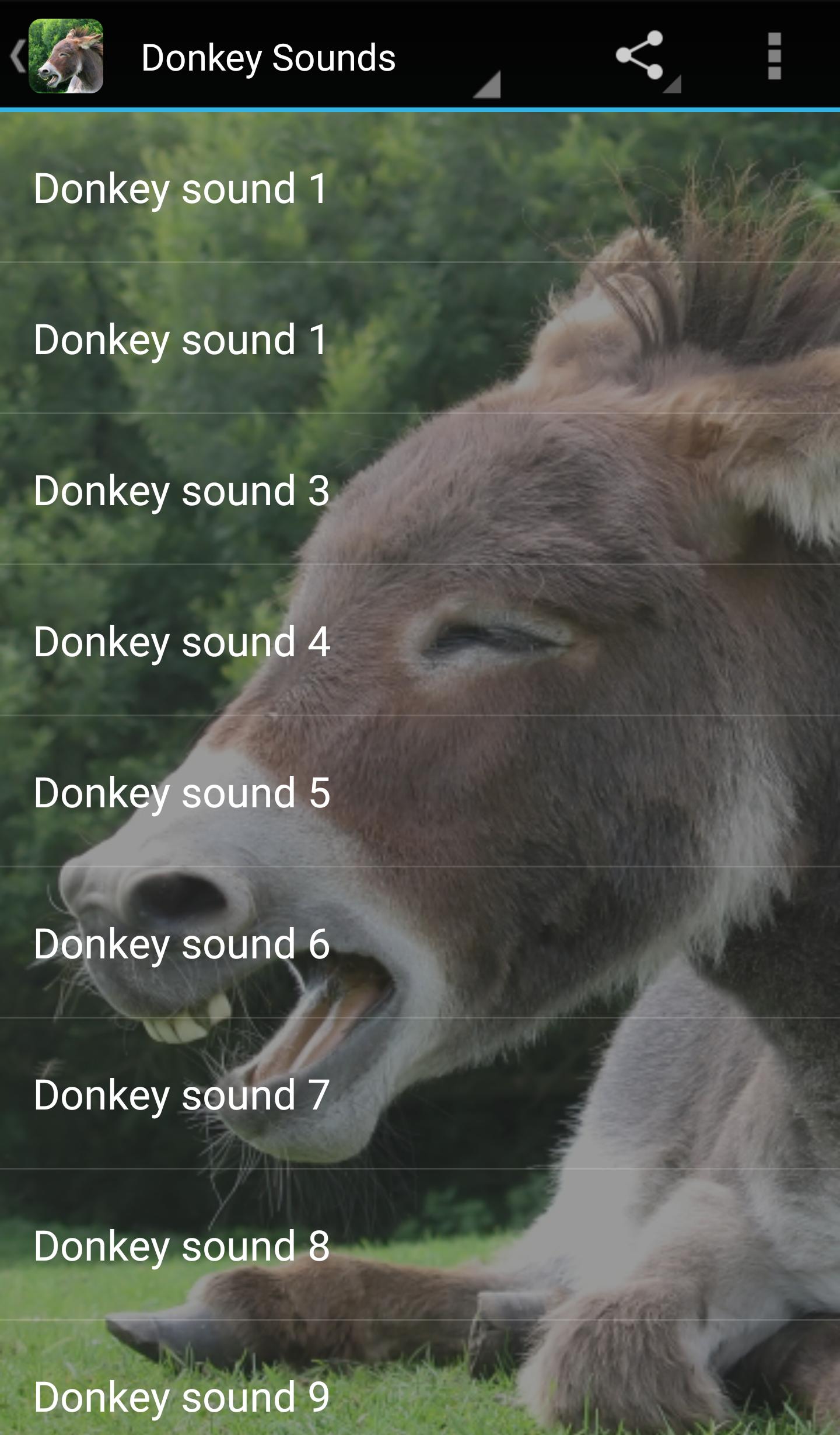 Donkey Sounds APK for Android Download Donkey Sounds APK for Android Download