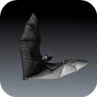 Bat Sounds أيقونة