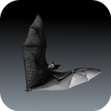 Bat Sounds 圖標