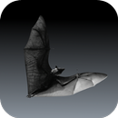 Bat Sounds APK