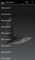 Bat Sounds poster