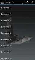 Bat Sounds الملصق