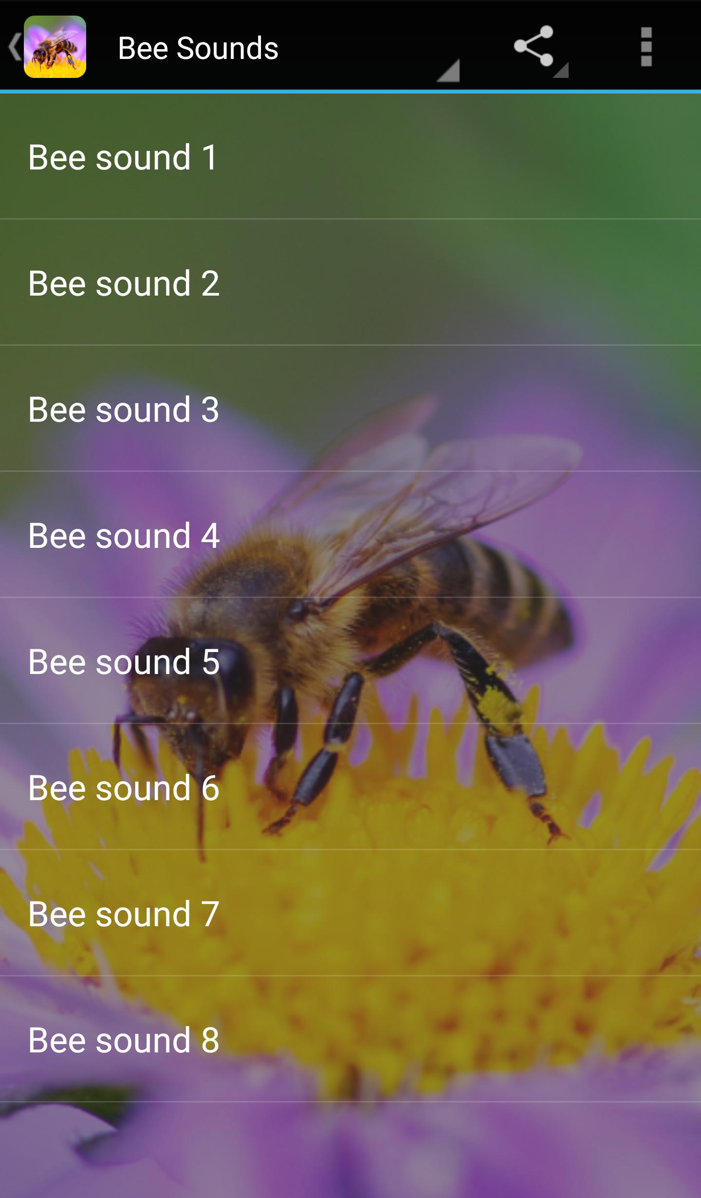 Звук пчелы слушать. Звук пчелы. Пчела и шум. Как звучит пчела. Неприятные звуки для пчёл.