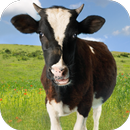 Sons de vache APK