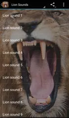 Lion Sounds APK 下載