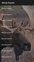 Moose Sounds Affiche