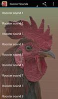 Rooster Sounds Plakat