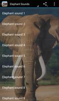 Elephant Sounds Affiche