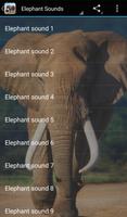 Elephant Sounds Cartaz