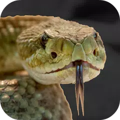 Rattlesnake Sounds APK download