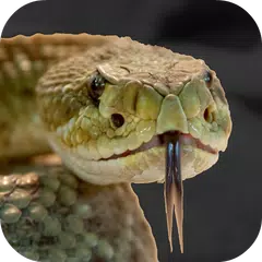 Rattlesnake Sounds アプリダウンロード