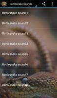 Rattlesnake Sounds Affiche