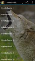Coyote Sounds Affiche