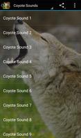 Coyote Sounds plakat