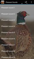 Pheasant Sounds-poster