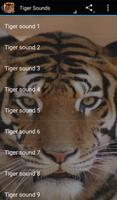 Sons du tigre Affiche