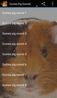Geluiden van cavia's-poster