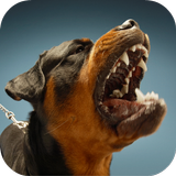 Dog Sounds आइकन
