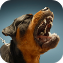 Dog Sounds APK