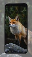 Fox Wallpapers 截圖 3