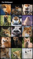 Fox Wallpapers 海報