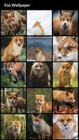 Fox Wallpapers 截圖 1