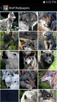 1 Schermata Wolf Wallpapers