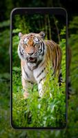 Tiger Wallpapers captura de pantalla 3