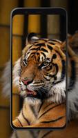 Tiger Wallpapers captura de pantalla 2