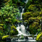 Waterfall Wallpapers-icoon