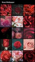 Rose Wallpapers পোস্টার