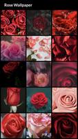 Rose Wallpapers penulis hantaran