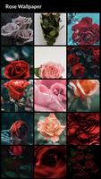 Rose Wallpapers syot layar 1