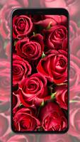 2 Schermata Rose Wallpapers
