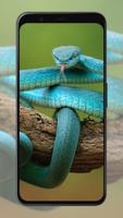 Snake Wallpapers capture d'écran 2