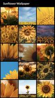 Sunflower Wallpapers Affiche