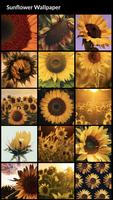 Sunflower Wallpapers capture d'écran 1