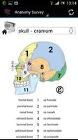 Human Anatomy скриншот 1