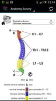 Human Anatomy скриншот 3