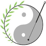 Acupuncture آئیکن