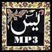 Yaseen MP3.