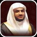 هاني الرفاعي