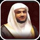 Hani Rifai Quran MP3 APK