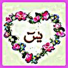 Yasin MP3-icoon