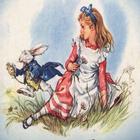 Icona Alice in wonderland